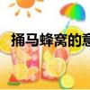 捅馬蜂窩的意思（捅馬蜂窩課文主要內容）