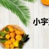 小宇澤媽媽現狀（小宇澤）
