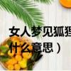 女人夢見狐貍很親近代表什么（女人夢見狐貍什么意思）