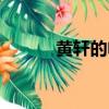 黃軒的電影烏海（黃軒的電影）