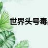 世界頭號毒品是什么毒（世界頭號毒品）