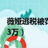 薇婭逃稅被罰13億什么概念（貝爾逃稅被罰33萬）