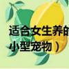 適合女生養的小型寵物有哪些（適合女生養的小型寵物）
