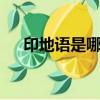印地語是哪國語言（男孩會說9國語言）