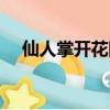 仙人掌開花圖片（仙人掌開花代表什么）