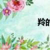 羚的拼音是（羚的拼音）