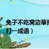 兔子不吃窩邊草打一成語這個成語是什么（兔子不吃窩邊草打一成語）