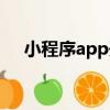 小程序app開發學習（小程序app開發）