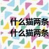 什么貓兩條腿6個字答案連成6個浪漫的字（什么貓兩條腿）