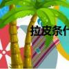 拉皮條什么意思（拉皮條啥意思）