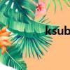 ksubi牛仔褲（ksubi官網）
