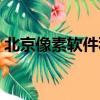 北京像素軟件科技股份有限公司（北京像素）