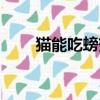 貓能吃螃蟹嗎（吃螃蟹能喝啤酒嗎）