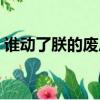 誰動了朕的廢后小說網盤（誰動了朕的廢后）