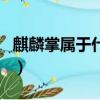 麒麟掌屬于什么植物（麒麟樹和麒麟掌的區別）