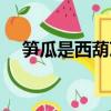 筍瓜是西葫蘆嗎（筍瓜和西葫蘆區別嗎）