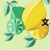 文小帥說（盛裝小帥）
