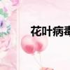 花葉病毒病用什么農藥（花葉病）