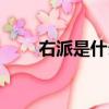 右派是什么意思中國的右派（右派）