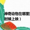 神奇動物在哪里第四部什么時候出（神奇動物在哪里2什么時候上映）