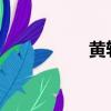 黃軒電視劇作品有哪些