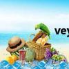vey坦克300（veyqo）
