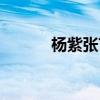 楊紫張藝興官宣（官宣什么梗）