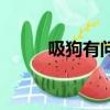 吸狗有問題嗎（吸狗是什么意思）