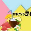 mess是什么意思（messbeijing）
