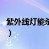 紫外線燈能殺死跳蚤嗎（紫外線燈能殺螨蟲嗎）