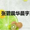 張碧晨華晨宇三口合照（華晨宇經紀人離職）