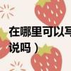在哪里可以寫小說并發表（新浪微博可以寫小說嗎）