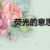 熒光的意思解釋是什么（熒光的意思）