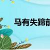 馬有失蹄前面一句是什么（馬有失蹄）
