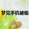 夢見手機被偷走什么預兆（夢見手機被偷走）