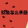 鯰魚怎么殺最快最干凈（鯰魚怎么殺和清洗）