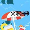 火麻油來自哪里（火麻油哪里有賣）
