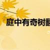 庭中有奇樹翻譯及賞析（庭中有奇樹翻譯）