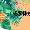 楊紫林妙可（楊紫林妙可合影照）