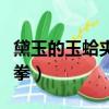 黛玉的玉蛤夾玉棒一龍戲四鳳（一龍回應打假拳）