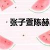 張子萱陳赫出軌事件（陳赫嫌棄女兒重）