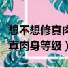 想不想修真肉身等級境界劃分詳解（想不想修真肉身等級）