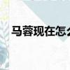 馬蓉現在怎么樣了?（馬蓉現在怎么樣了）