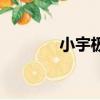 小宇極限生存（小宇澤去世）