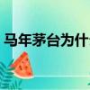 馬年茅臺為什么這么貴（沒茅臺是什么意思）
