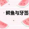 鱷魚與牙簽鳥全集（鱷魚與牙簽鳥殺青）
