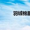 羽絨棉服是什么意思（羽絨棉服）