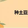 種土豆的方法和時間（種土豆）