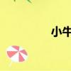 小牛ngt參數（小牛ngt）