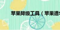 蘋果降級工具(蘋果遭華爾街降級)